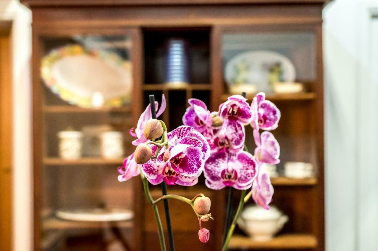 Il Salotto Di Nonna Cornelia 2 Hotel Наполи Екстериор снимка